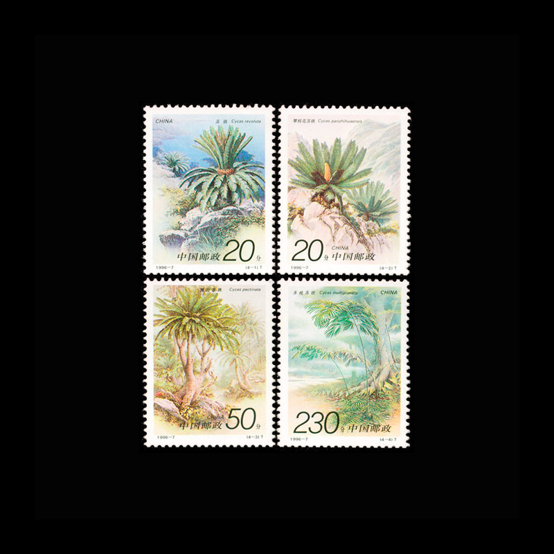 Vintage Collectible Stamps - Vintage 1996 Chinese Cycas Plant Stamps